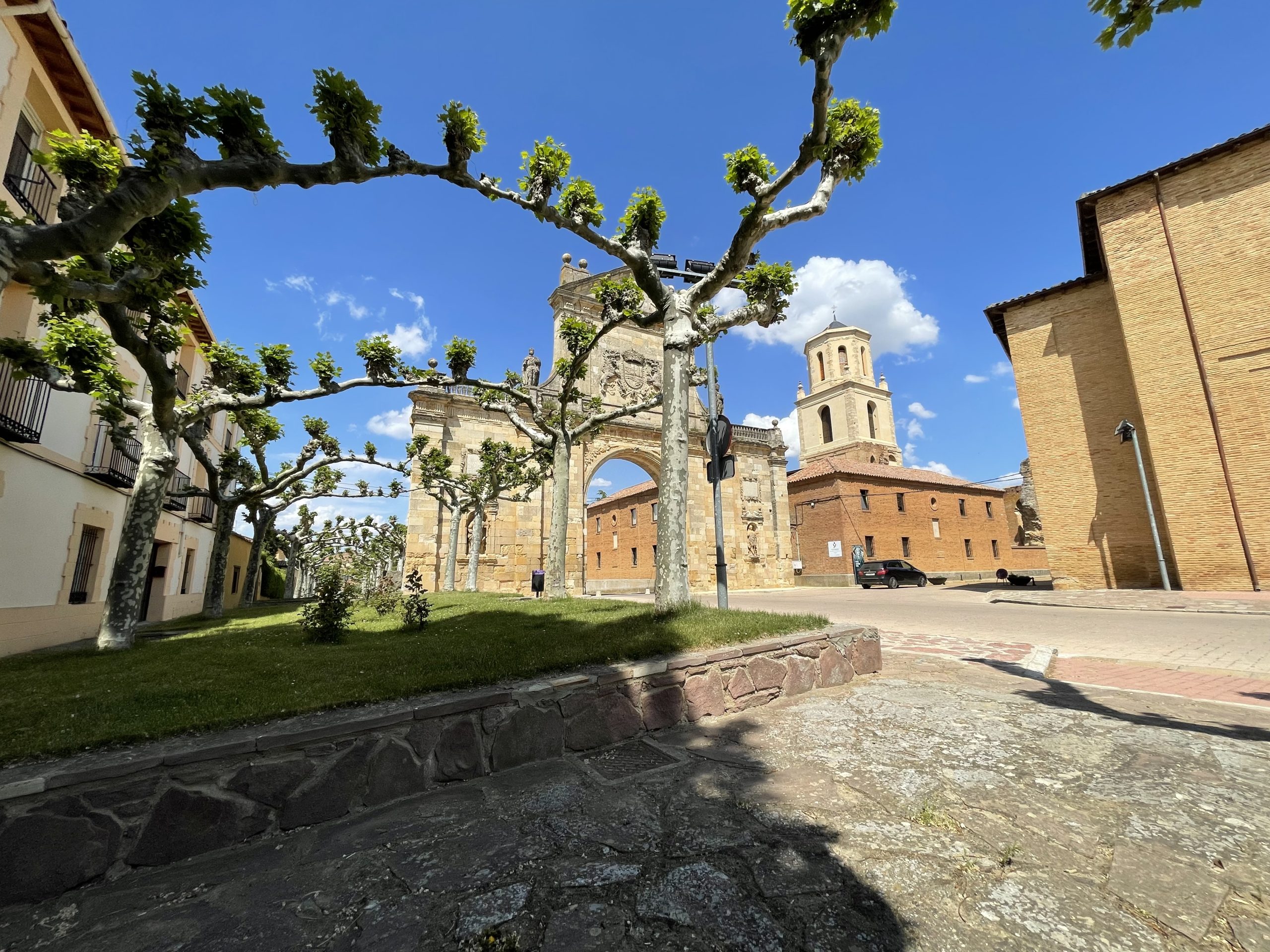 Plaza Santa Cruz a Sahagun. Anche qui gli alberi intrecciati.