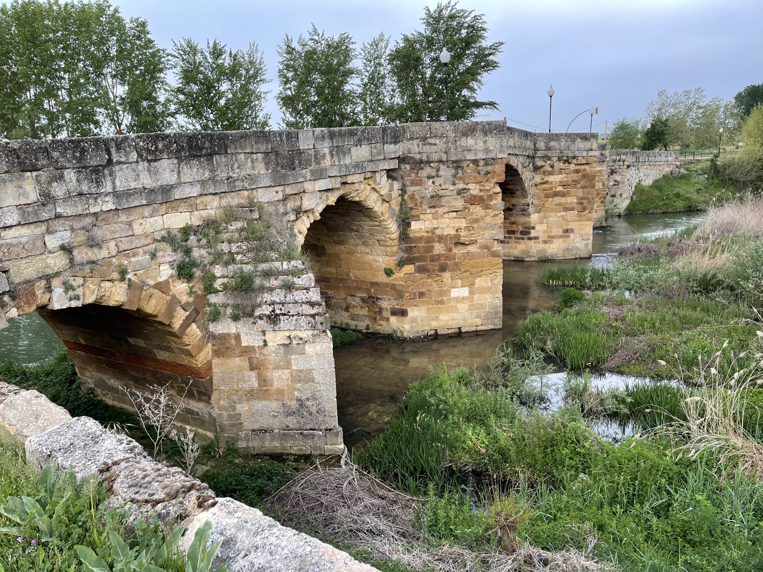 Uscendo da Sahagun
