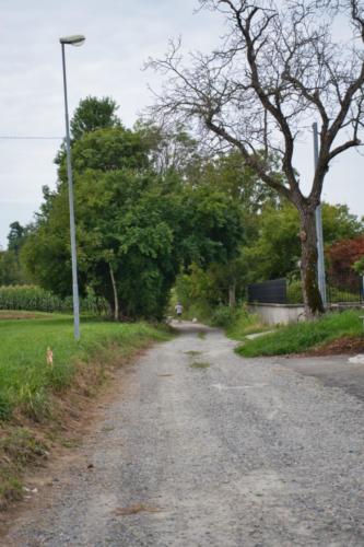 DSC00168